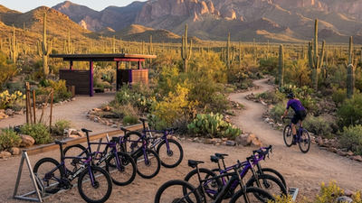 Top 10 Best Bike Rental Services in Tucson