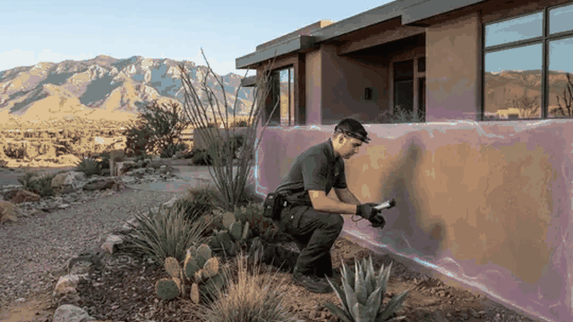 Top 10 Best Pest Control Services in Albuquerque