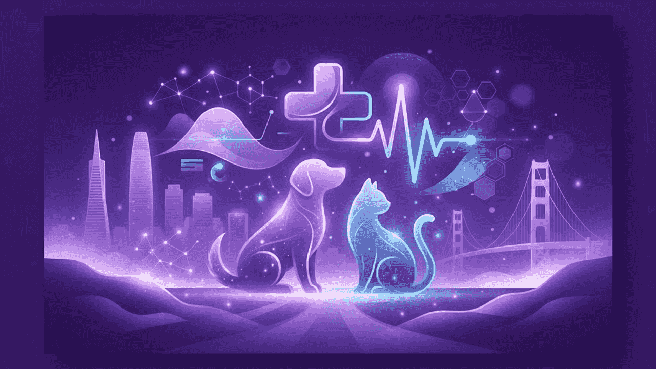Top 10 Best Veterinary Clinics in San Francisco