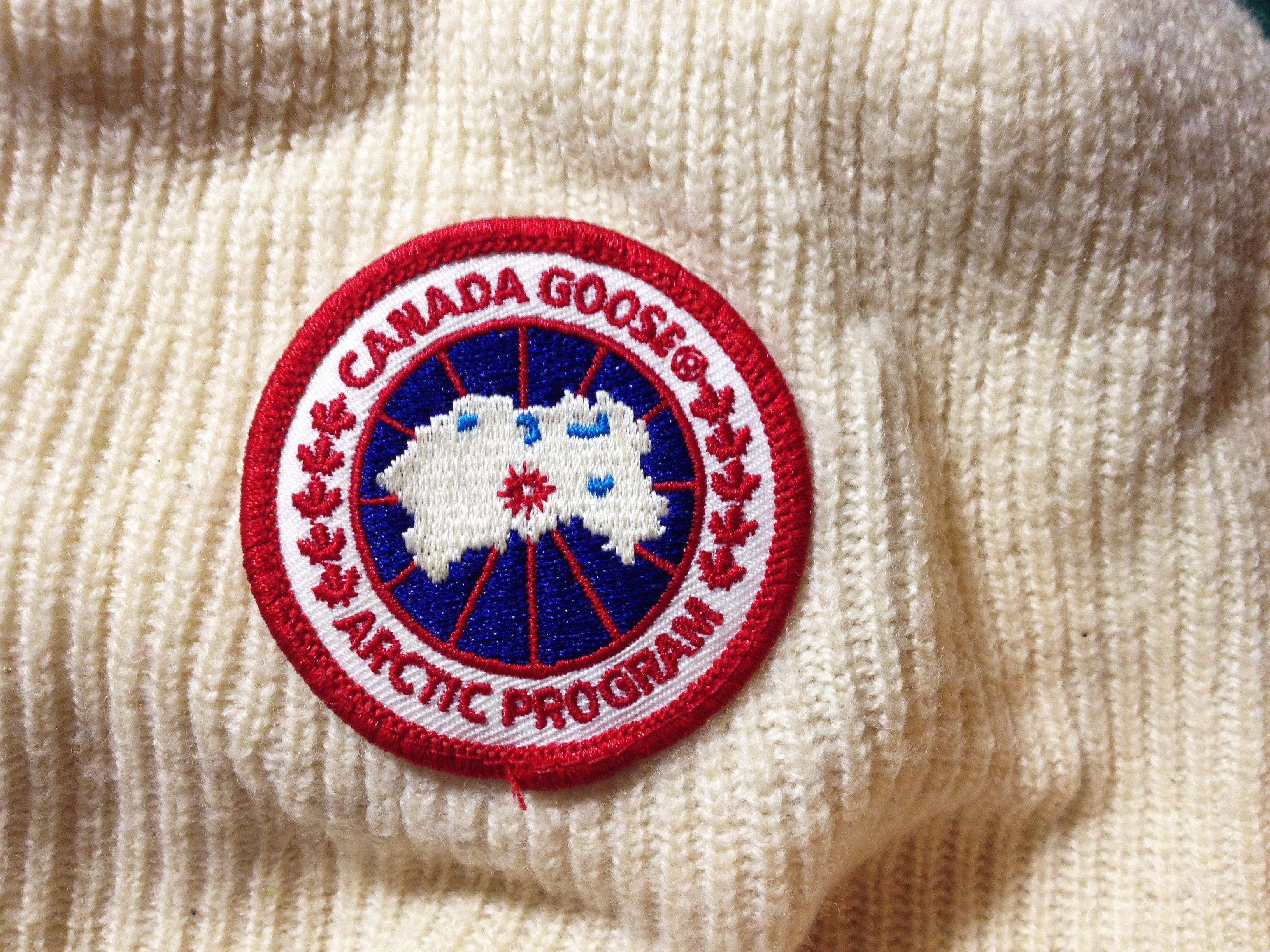 Canadian Goose
