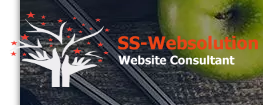 ss-websolution