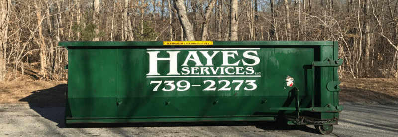 Hayes Services LLC