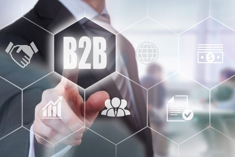 B2B Web Application Development