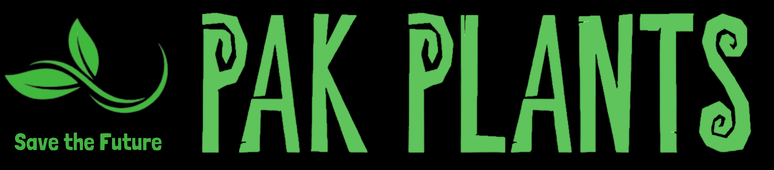 Pak Plants  | House Plants in Pakistan