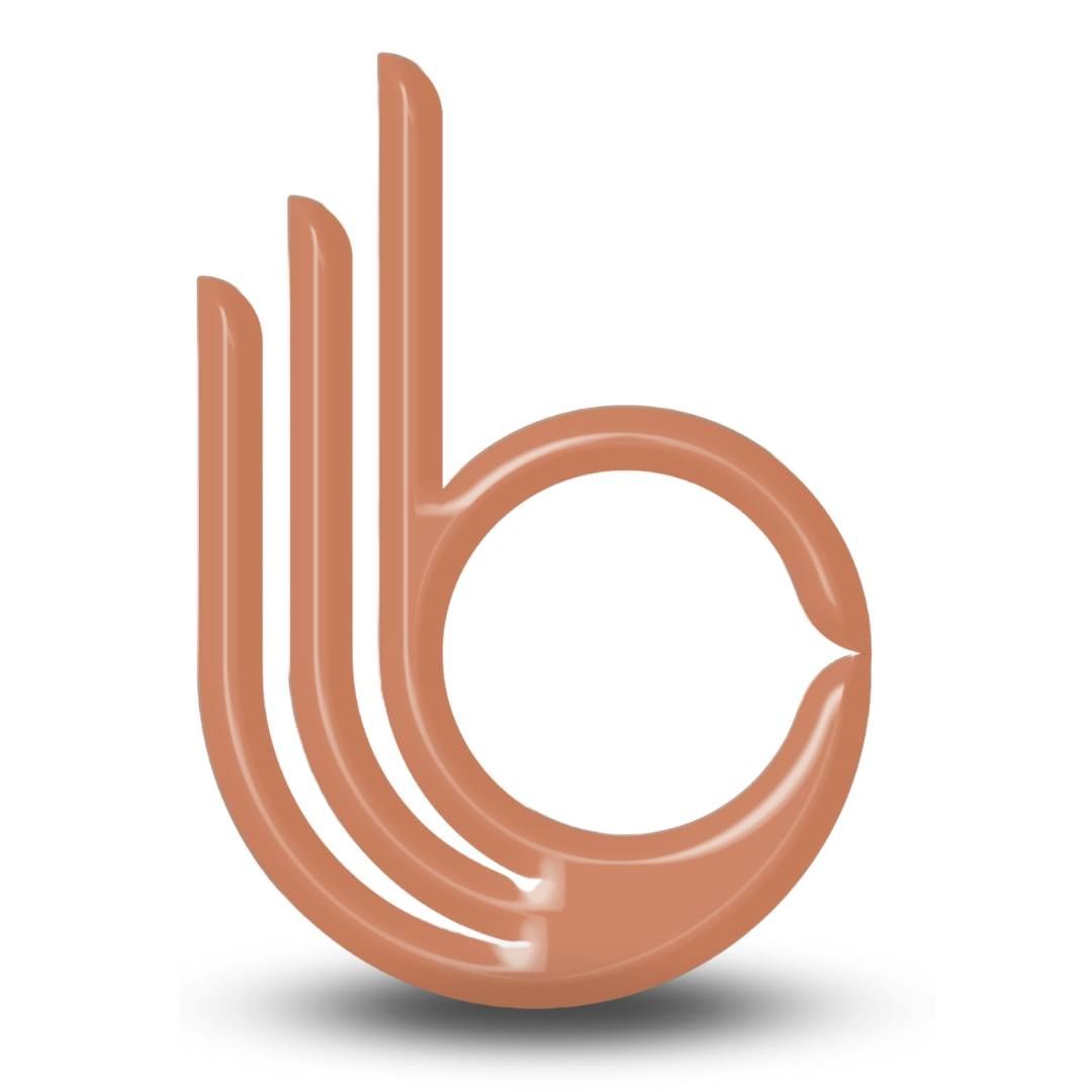 Best Solution Business Consultancy