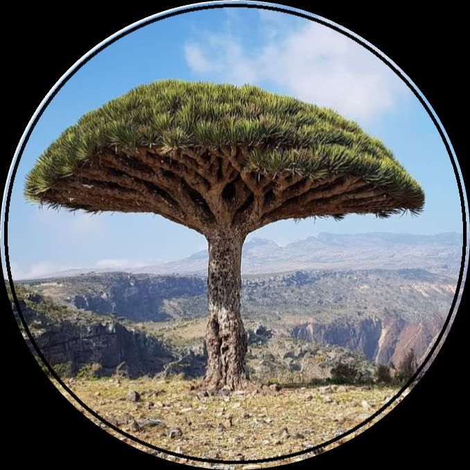 Easy Travel to Yemen