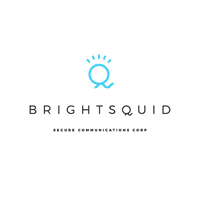 Brightsquid