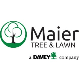 Maier Tree & Lawn