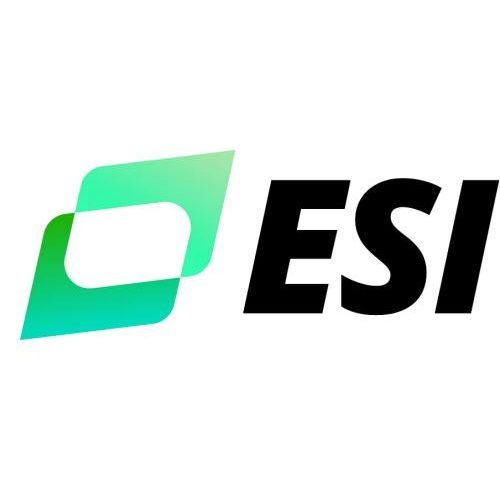 ESI - eEmployers Solutions, Inc. Austin