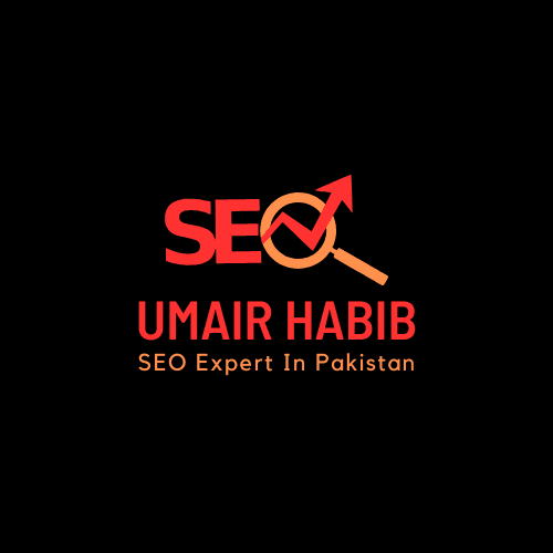 SEO Expert In Pakistan