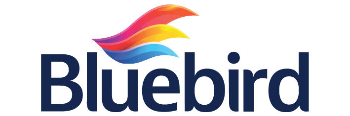 Bluebird Paints