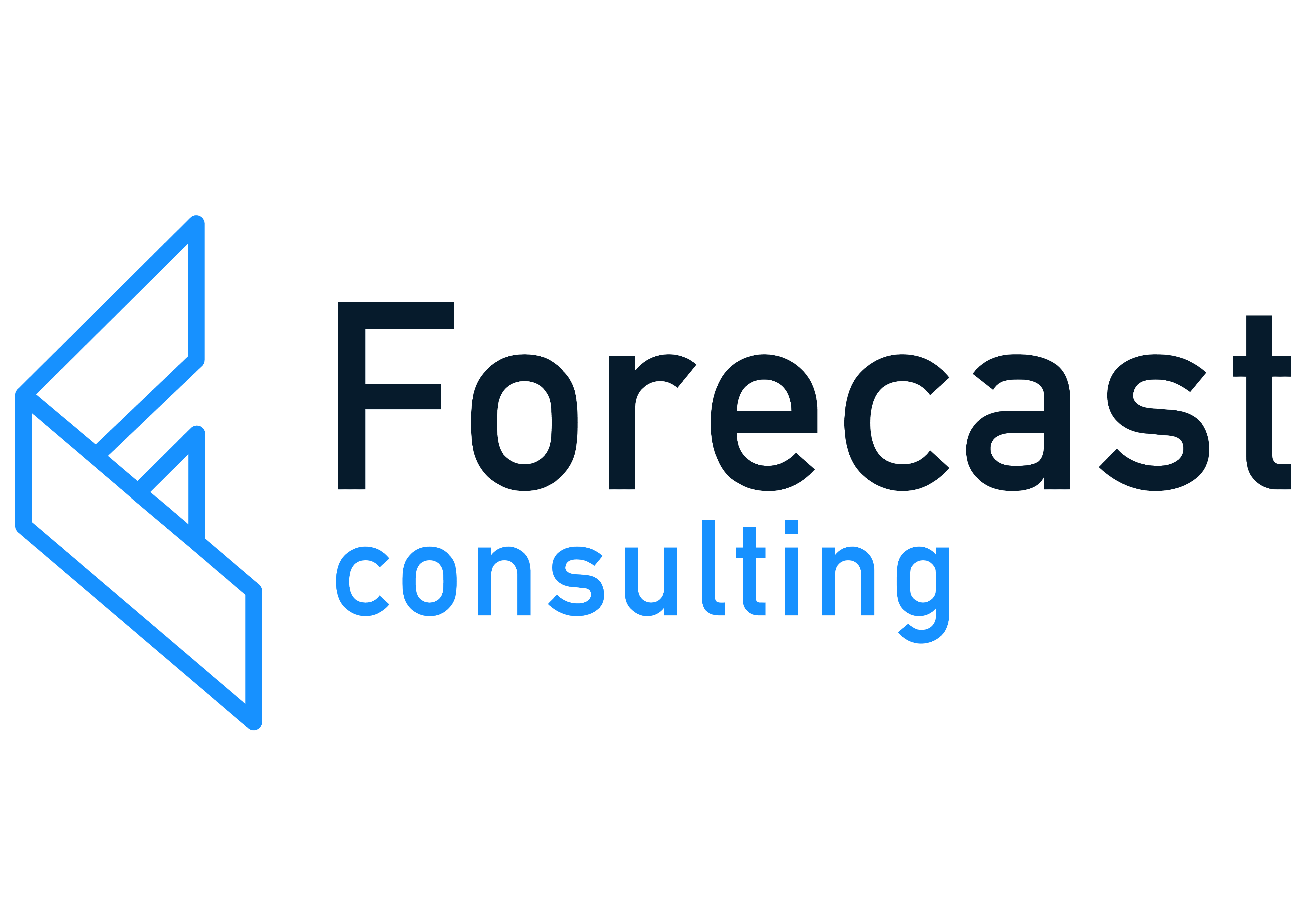 Forecast Consulting