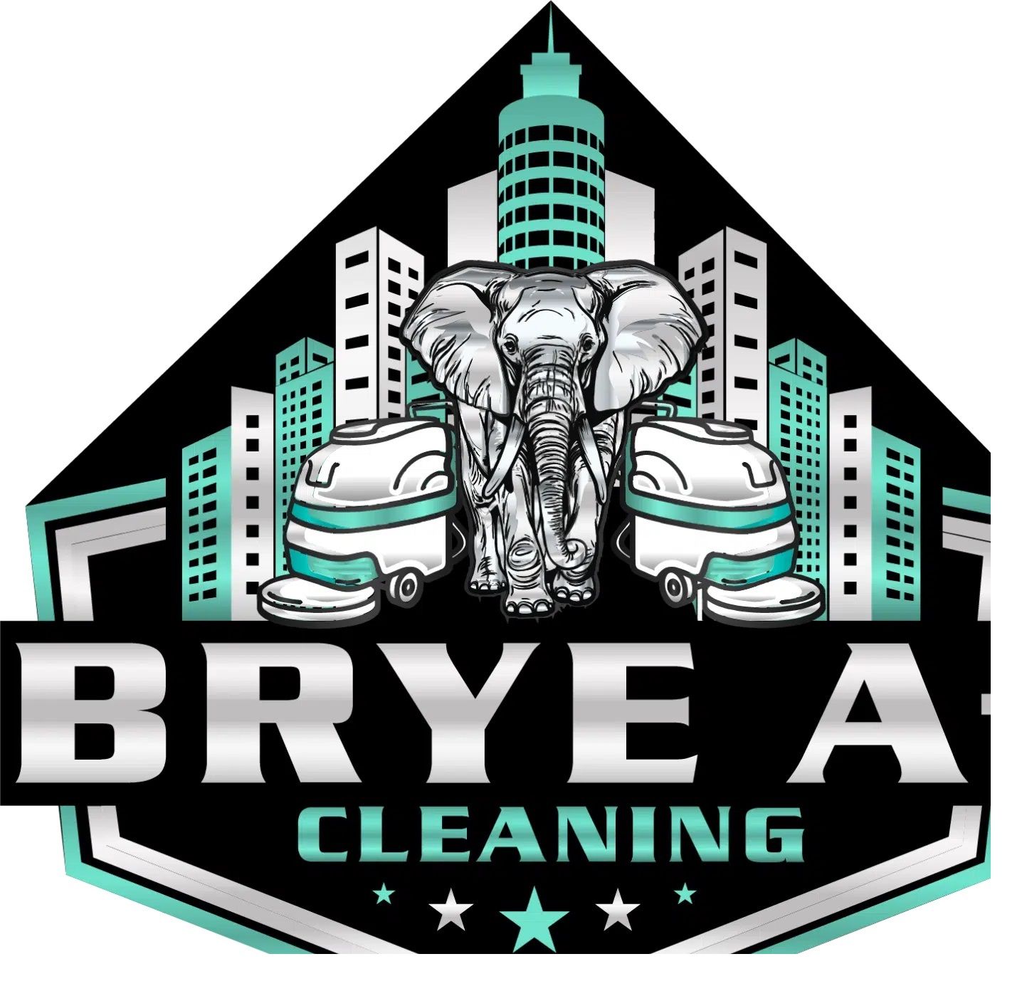 bryeaplus cleaning