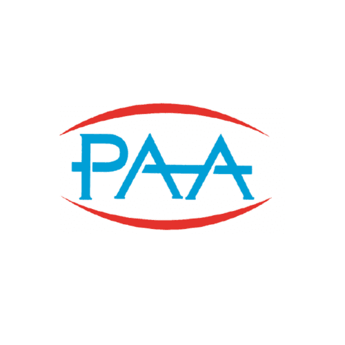 Premier Audit And Accounting