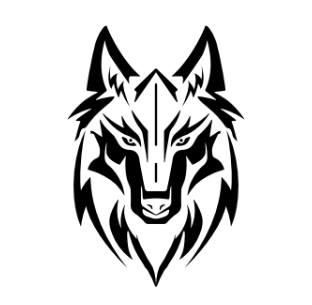 Lupo bianco
